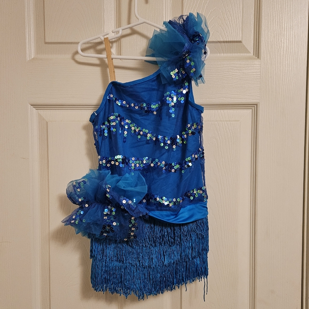 Child's Peacock costume- L